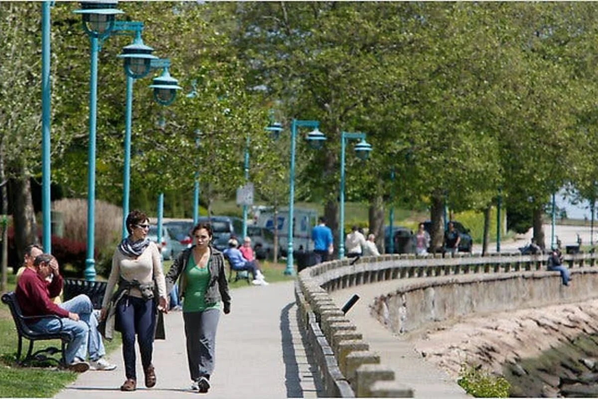 St. Mary's by the Sea area in Black Rock - Professional dog walking and pet care services St. Mary's by the Sea area in Black Rock - Professional dog walking and pet care services