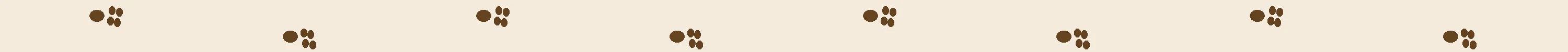 Paw print divider